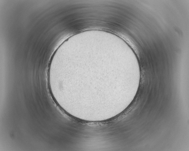 X0000115380906200912151436