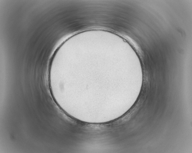 X0000115380910200912151436