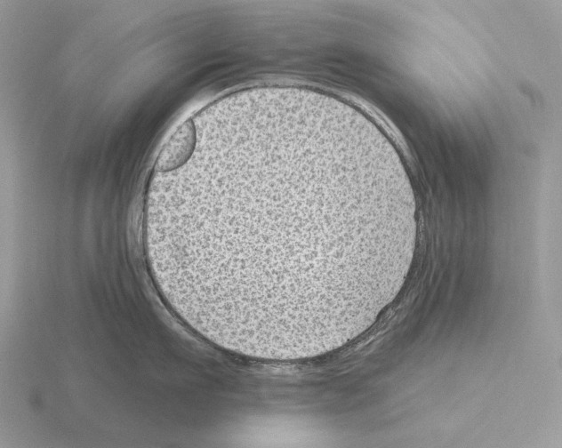 X0000115380911200912151436