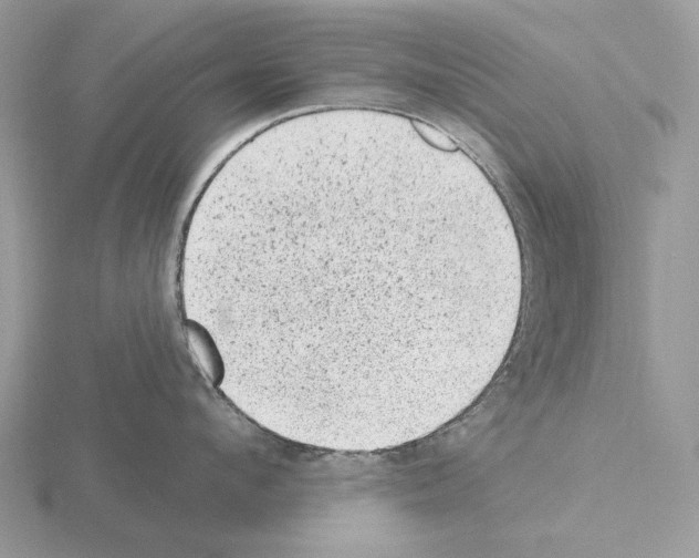 X0000115380912200912151436