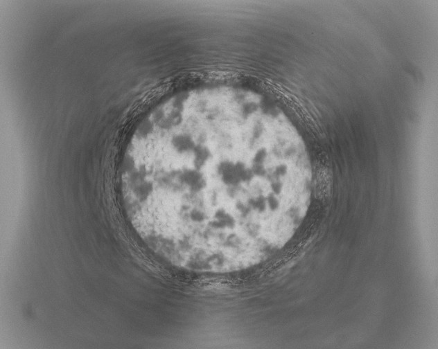 X0000115380913200912151436