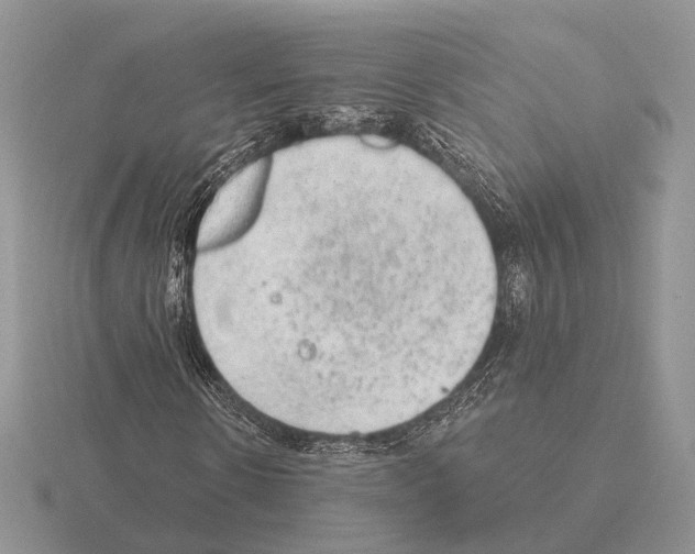 X0000115380914200912151436