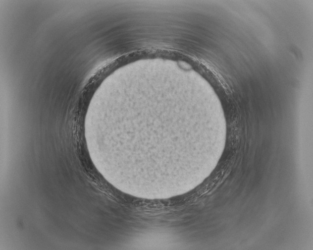 X0000115380919200912151436