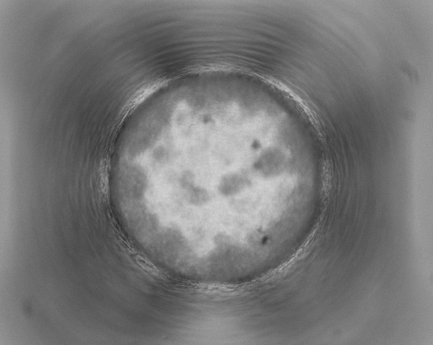 X0000115380921200912151436