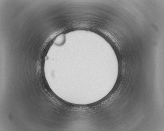 X0000115380922200912151436