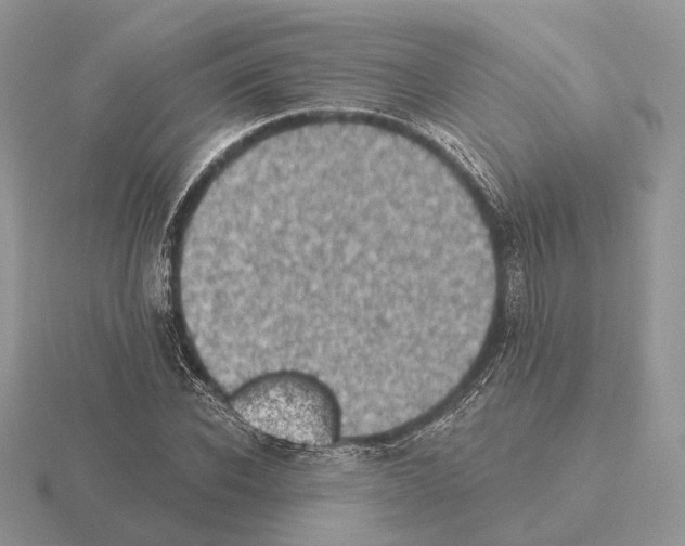 X0000115380926200912151436