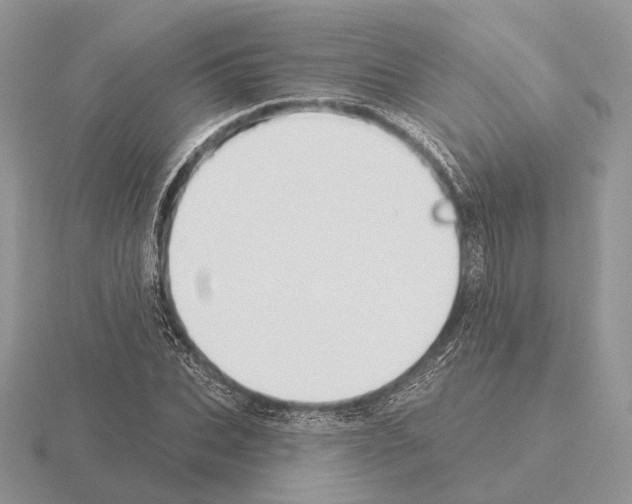 X0000115380927200912151436