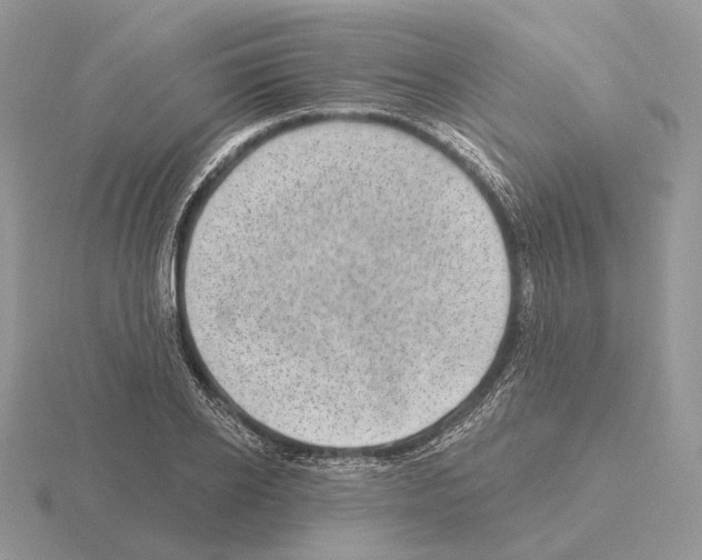 X0000115380934200912151436