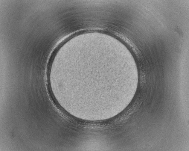 X0000115380935200912151436