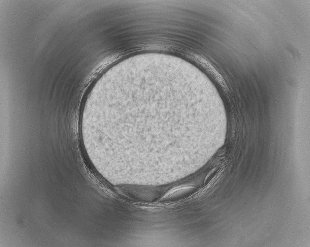 X0000115380938200912151436