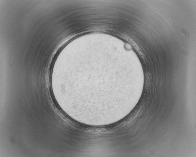 X0000115380939200912151436