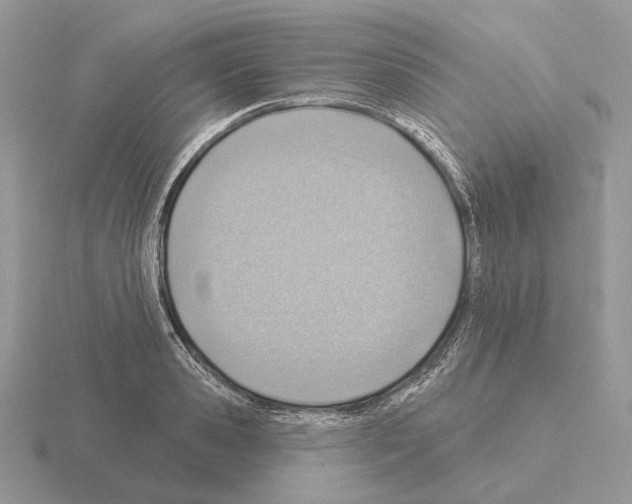 X0000115380941200912151436