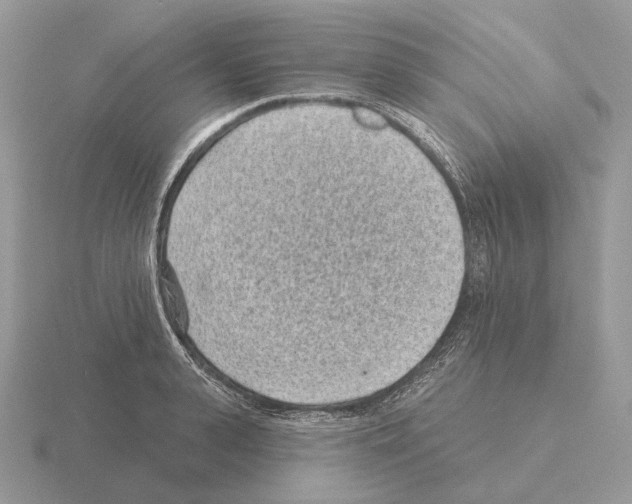 X0000115380943200912151436