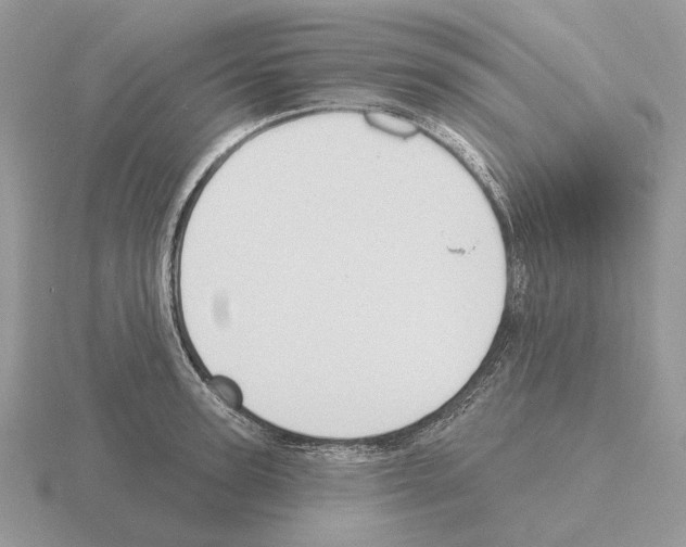 X0000115380947200912151436