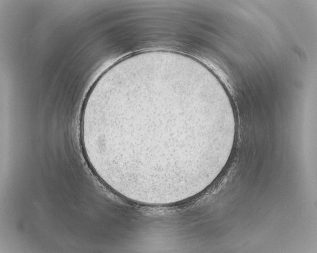 X0000115380949200912151436