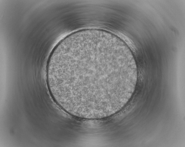 X0000115380950200912151436