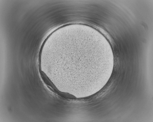 X0000115380951200912151436