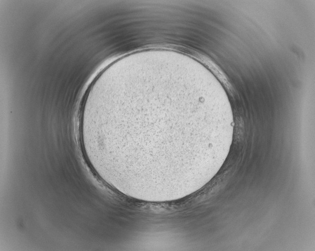 X0000115380955200912151436