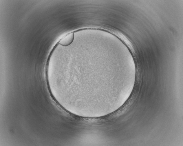 X0000115380958200912151436