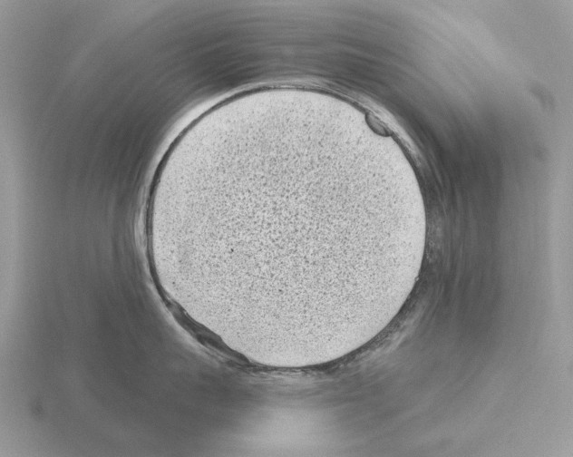 X0000115380959200912151436