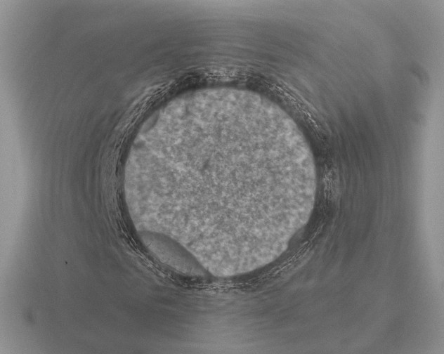 X0000115380961200912151436