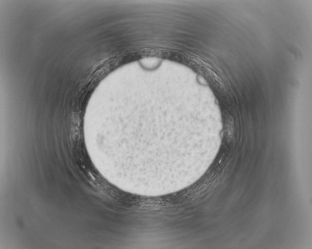 X0000115380964200912151436