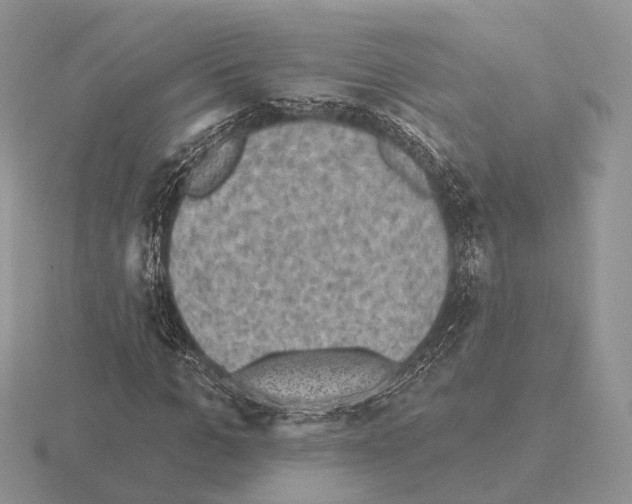 X0000115380965200912151436