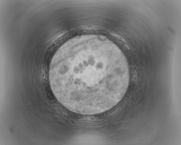 X0000115380966200912151436