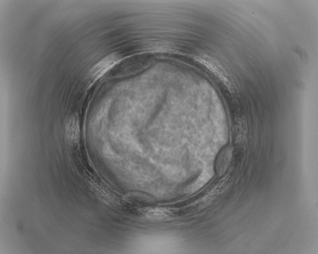 X0000115380969200912151436