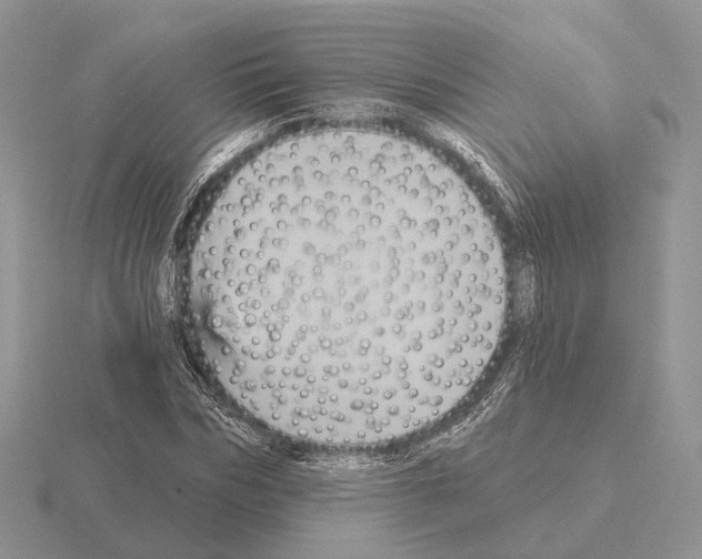 X0000115380970200912151436