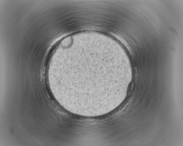 X0000115380971200912151436