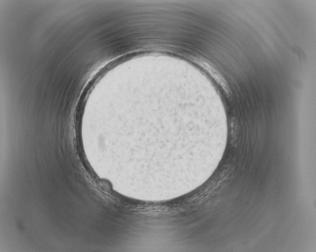 X0000115380972200912151436