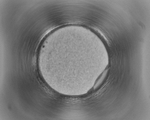 X0000115380975200912151435