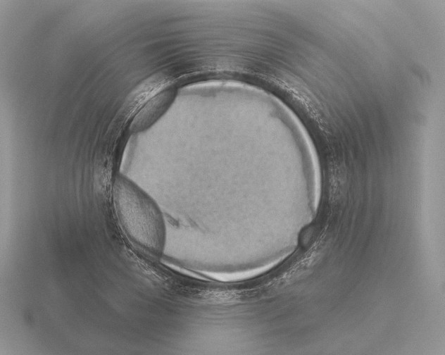 X0000115380977200912151435