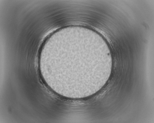 X0000115380979200912151435