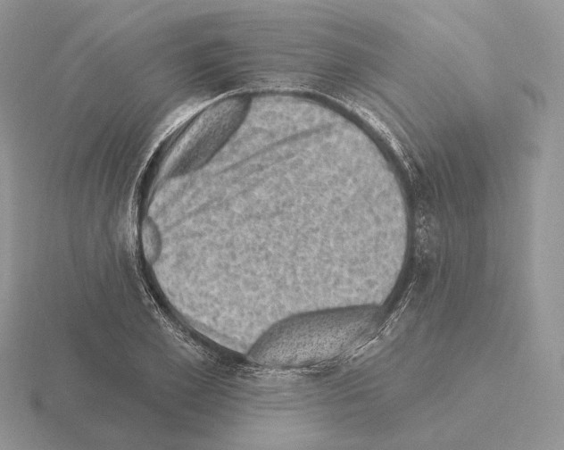 X0000115380981200912151435