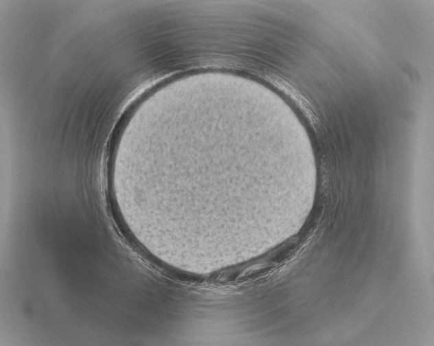 X0000115380983200912151435