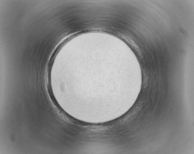 X0000115380984200912151435