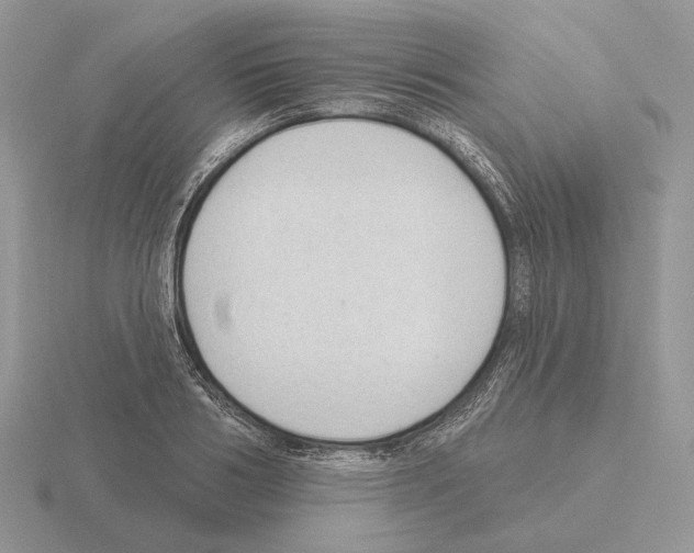 X0000115380986200912151435