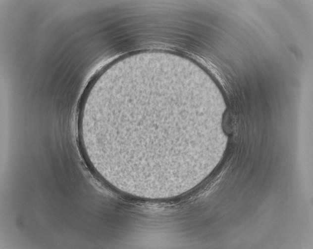 X0000115380987200912151435