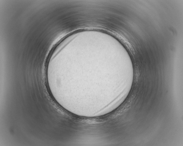 X0000115380990200912151435