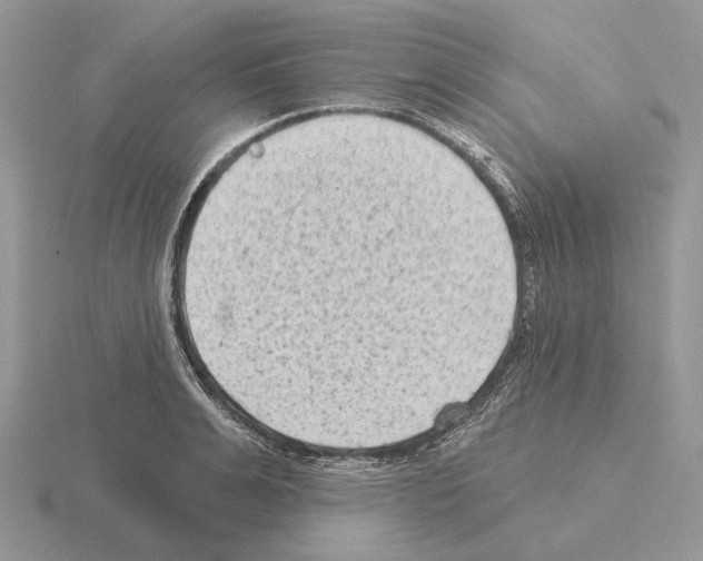 X0000115380991200912151435