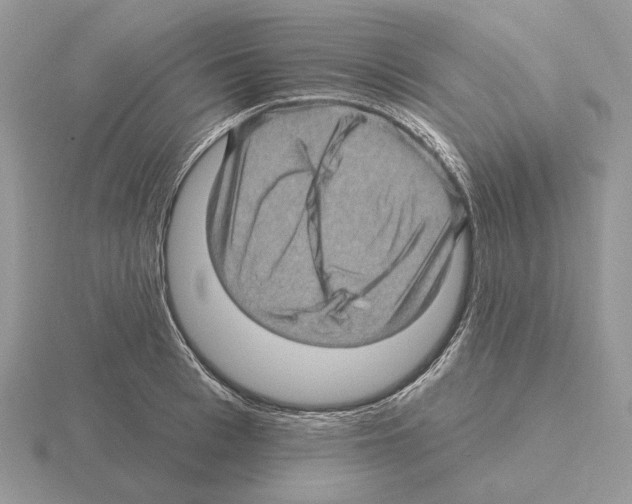 X0000115380993200912151435