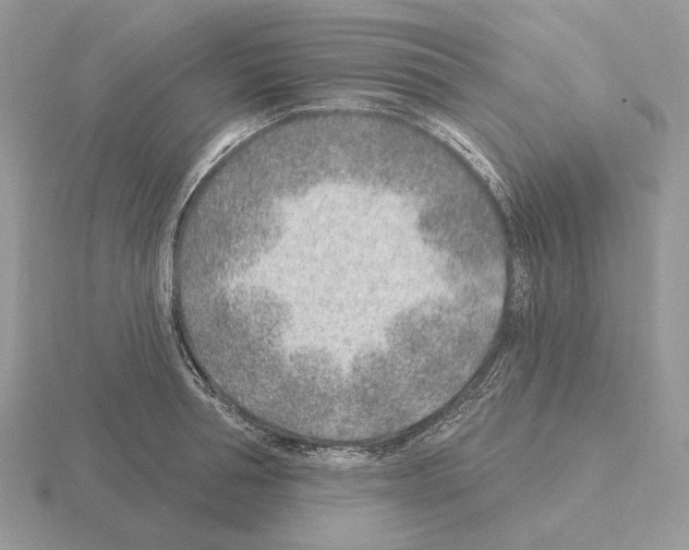 X0000115380994200912151435