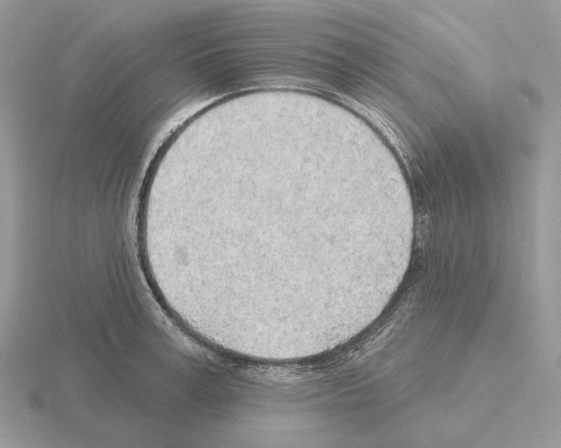 X0000115380995200912151435