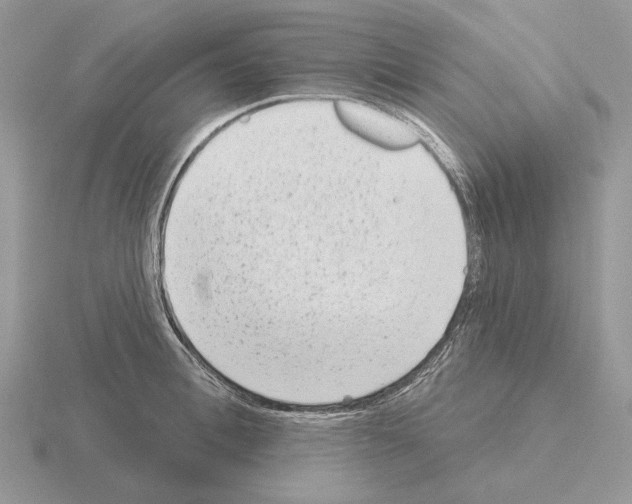 X0000115380996200912151435