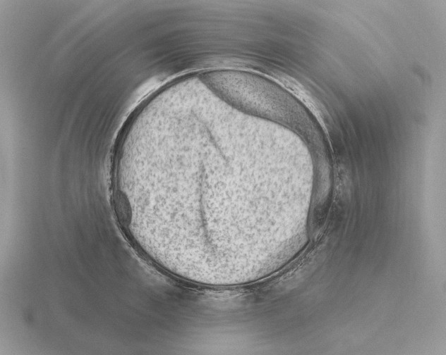 X0000115380997200912151435