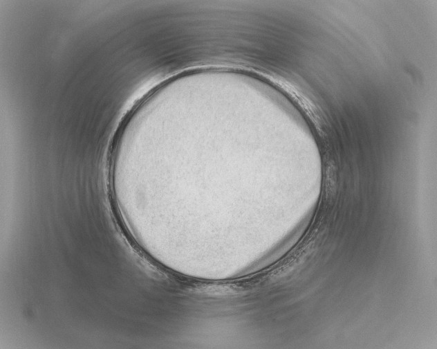 X0000115380998200912151435