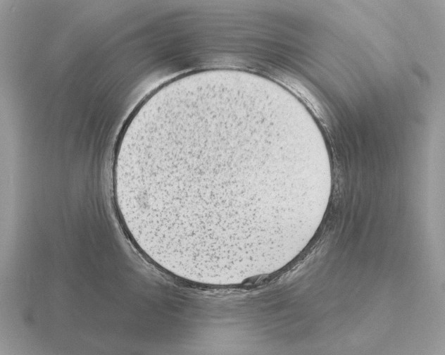 X0000115381000200912151435