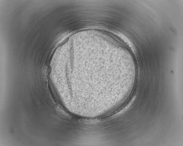 X0000115381001200912151435